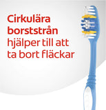 A 4-pack of white Colgate Premier Clean toothbrushes for oral care, featuring ergonomic handles and soft bristle heads.