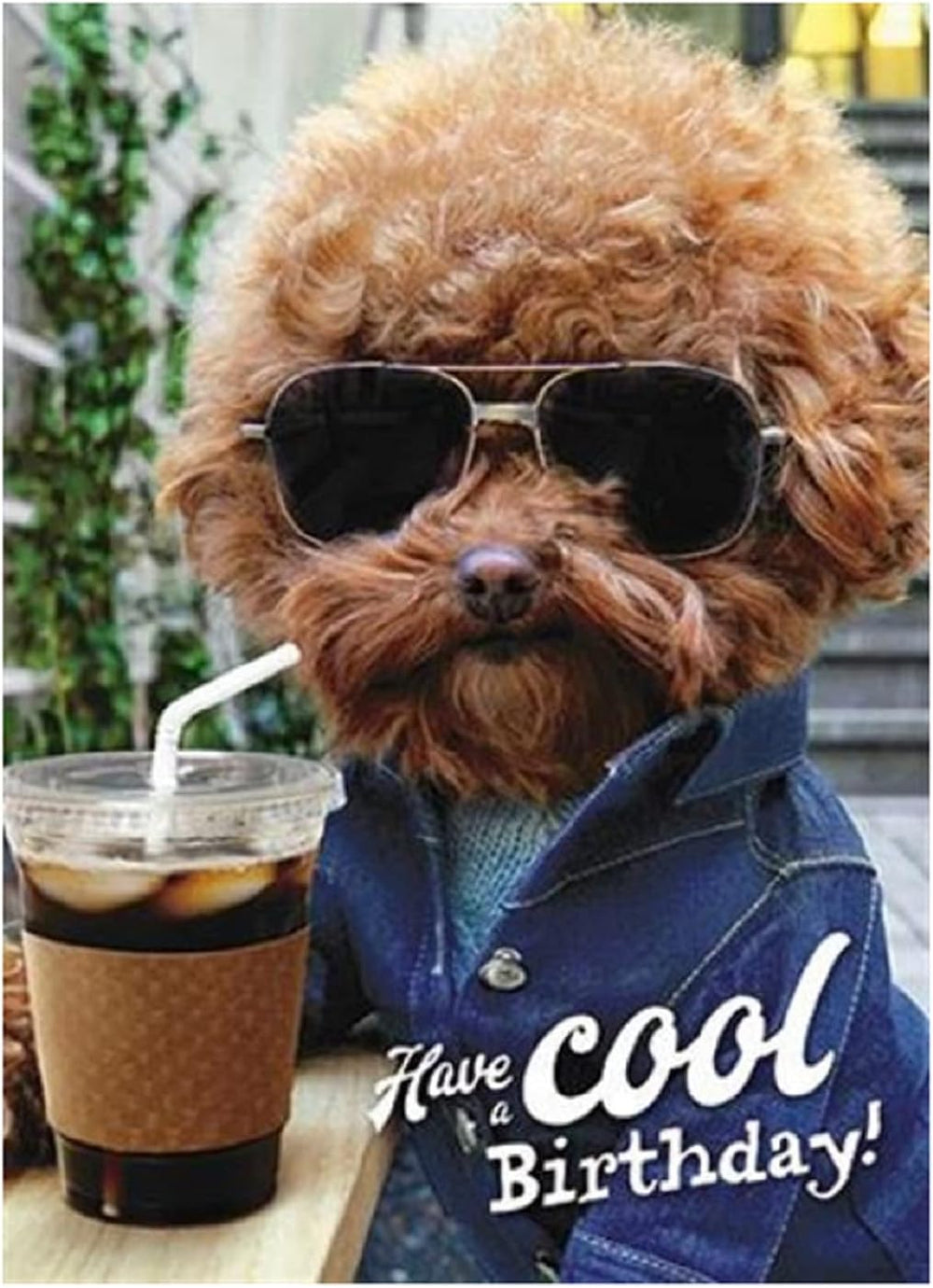 Dog wearing sunglasses and holding coffee, on a humorous greeting card with a chill vibe, by GBCC.