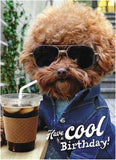 Dog wearing sunglasses and holding coffee, on a humorous greeting card with a chill vibe, by GBCC.
