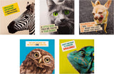 Set of 10 Hallmark funny birthday cards in 5 playful designs, featuring humorous photographic illustrations.