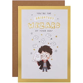Hallmark Harry Potter Hedwig Owl maze activity birthday card featuring Hedwig the owl from Warner Brothers, with magical themed design.