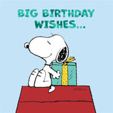 Hallmark Peanuts Snoopy Big Birthday Wishes greeting card featuring Snoopy celebrating a birthday with colorful illustrations.