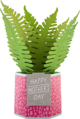 Hallmark Pop-Up Plant Paper Wonder Mother’s Day card featuring a colorful 3D floral design and intricate paper craft details.