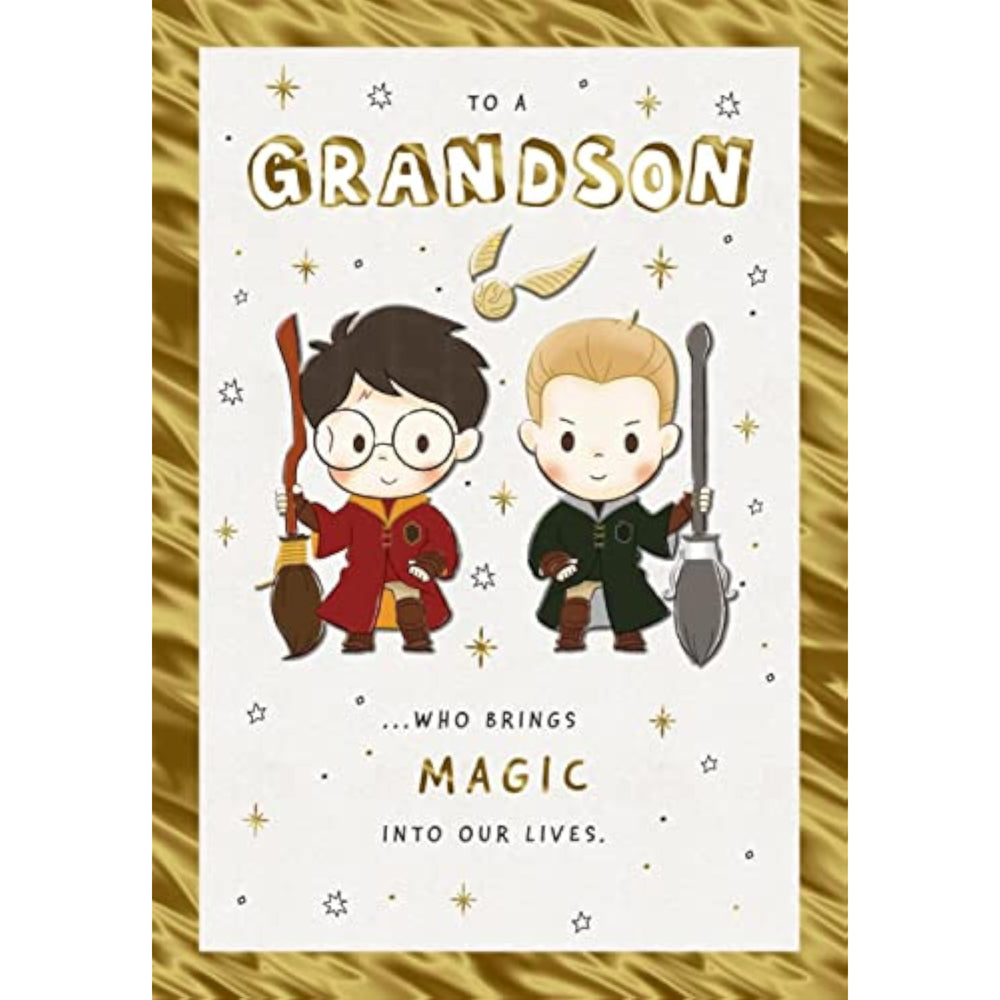 Hallmark Harry Potter grandson birthday greeting card featuring Wizarding World characters and magical design elements.