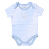 Send It By White & Blue Elephant 5 Piece Set