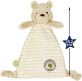 Rainbow Designs Winnie the Pooh comfort blanket from Hundred Acre Wood, soft baby toy with colorful Winnie the Pooh character.