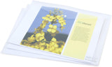 Set of 15 Rapesco Eco Popper Wallet A3 clear filing and storage wallets for organizing documents and papers.