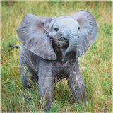 UK Greetings birthday card featuring an adorable elephant design for him, her, or friends, perfect for celebrating special occasions.