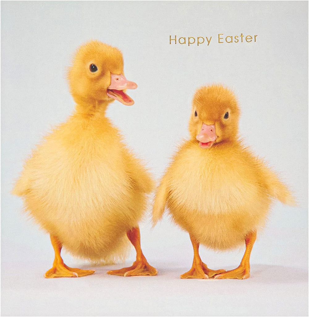 UK Greetings Easter Card for Him, Her, or Friend featuring adorable ducklings design with envelope, perfect for celebrating Easter.