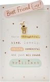 UK Greetings 3D Boofle Best Friend birthday card showing colorful cartoon boofle character and cheerful design for friends