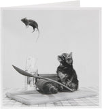 UK Greetings birthday card for him, her, or friends featuring a playful cat and mouse design, perfect for celebrating special occasions.