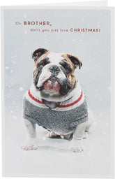 UK Greetings Bulldog in Christmas Jumper greeting card, festive brother Christmas card featuring a cute bulldog in a holiday sweater.