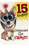 UK Greetings Celebrate Go Crazy 15th Birthday Card featuring colorful birthday-themed design and playful graphics.