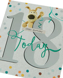 UK Greetings Cute 18th Boofle birthday card featuring adorable Boofle character and colorful birthday design.