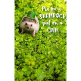 UK Greetings cute hedgehog St. Patrick's Day greeting card with festive green accents and cheerful design.
