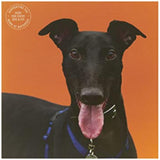 UK Greetings dog design Battersea birthday card, colorful greeting card featuring a playful dog illustration.