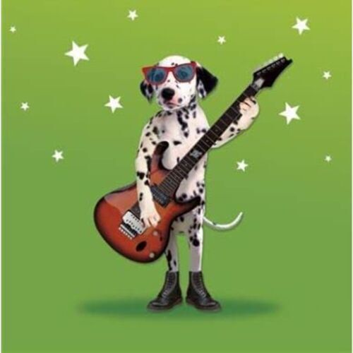 UK Greetings fun photographic Dalmatian dog birthday greeting card showing a playful Dalmatian with spots and a festive background