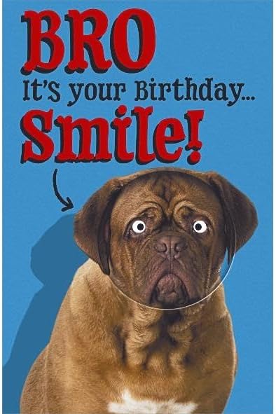 UK Greetings funny Bog Smile brother birthday card featuring humorous cartoon design and vibrant colors.