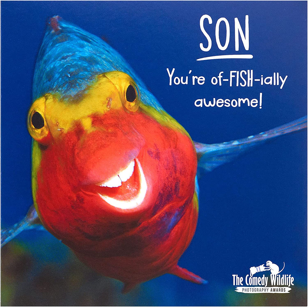 UK Greetings Funny Fish wildlife birthday card featuring humorous fish illustration for son's birthday celebration.
