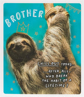 UK Greetings funny sloth brother birthday card featuring a humorous illustration of a sloth for celebrating a brother.