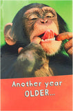 UK Greetings Say Cheese! birthday greeting card featuring a cheerful cheese-themed design, perfect for celebrating birthdays.