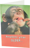 UK Greetings Say Cheese! birthday greeting card featuring cheerful cheese-themed design and playful message for celebrations.