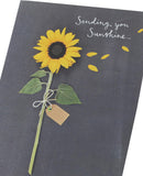 UK Greetings sunflower greeting card featuring bright sunflower design, perfect for sending sunshine and cheerful messages.