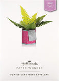 Hallmark Pop-Up Plant Mother’s Day Card featuring a 3D paper wonder design, colorful and intricate greeting card for special occasions.