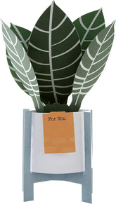 Hallmark Pop Up Card - Contemporary Zebra Plant Design