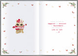 Boofles standing on ladder hanging -Sister & Partner Christmas Card