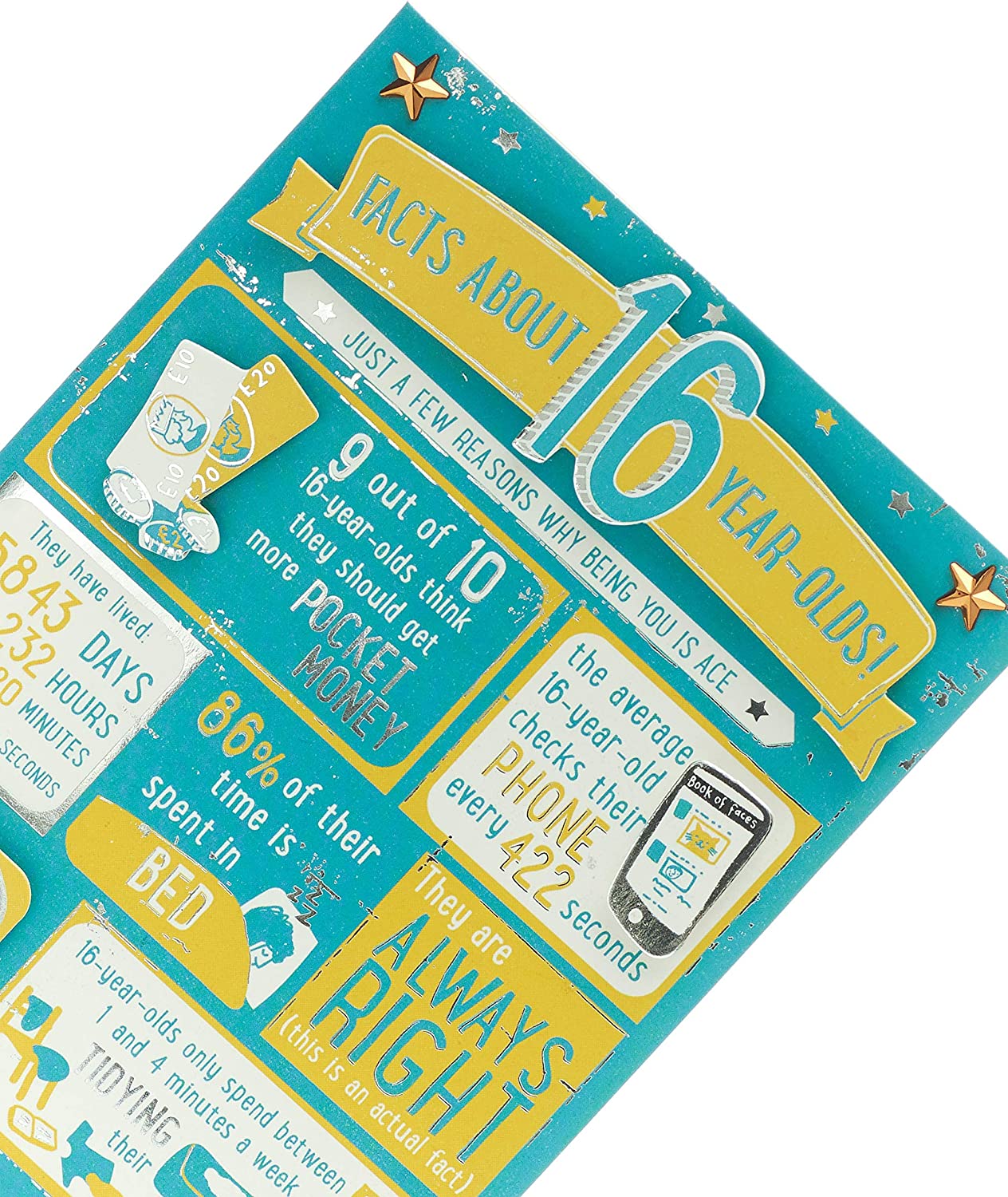 Relatable facts 16th Birthday Card