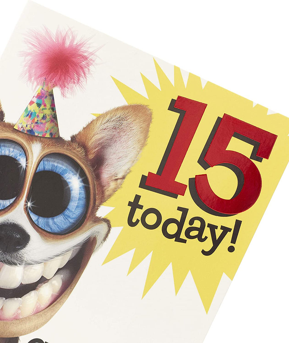 Celebrate Go Crazy 15th Birthday Card