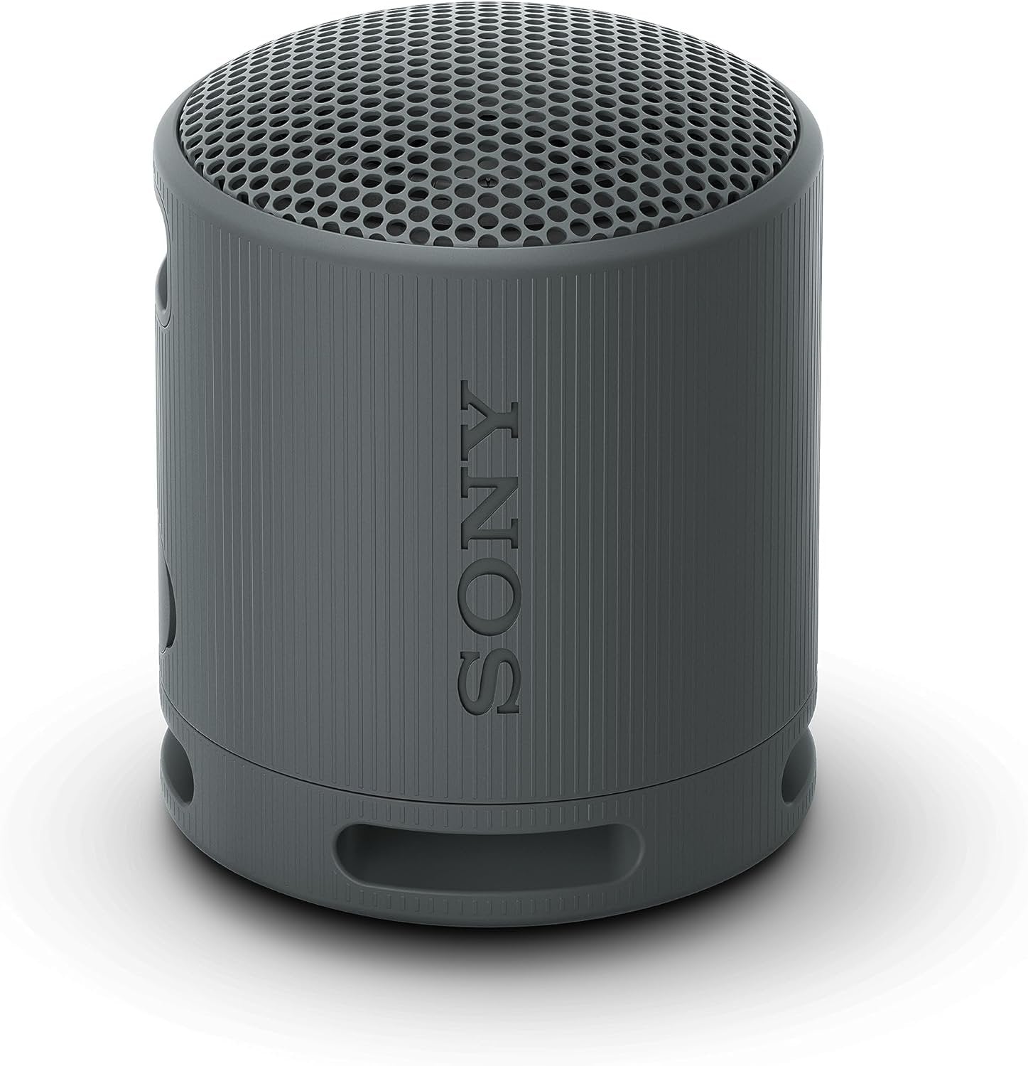 Sony SRS-XB100 Wireless Bluetooth Portable Speaker