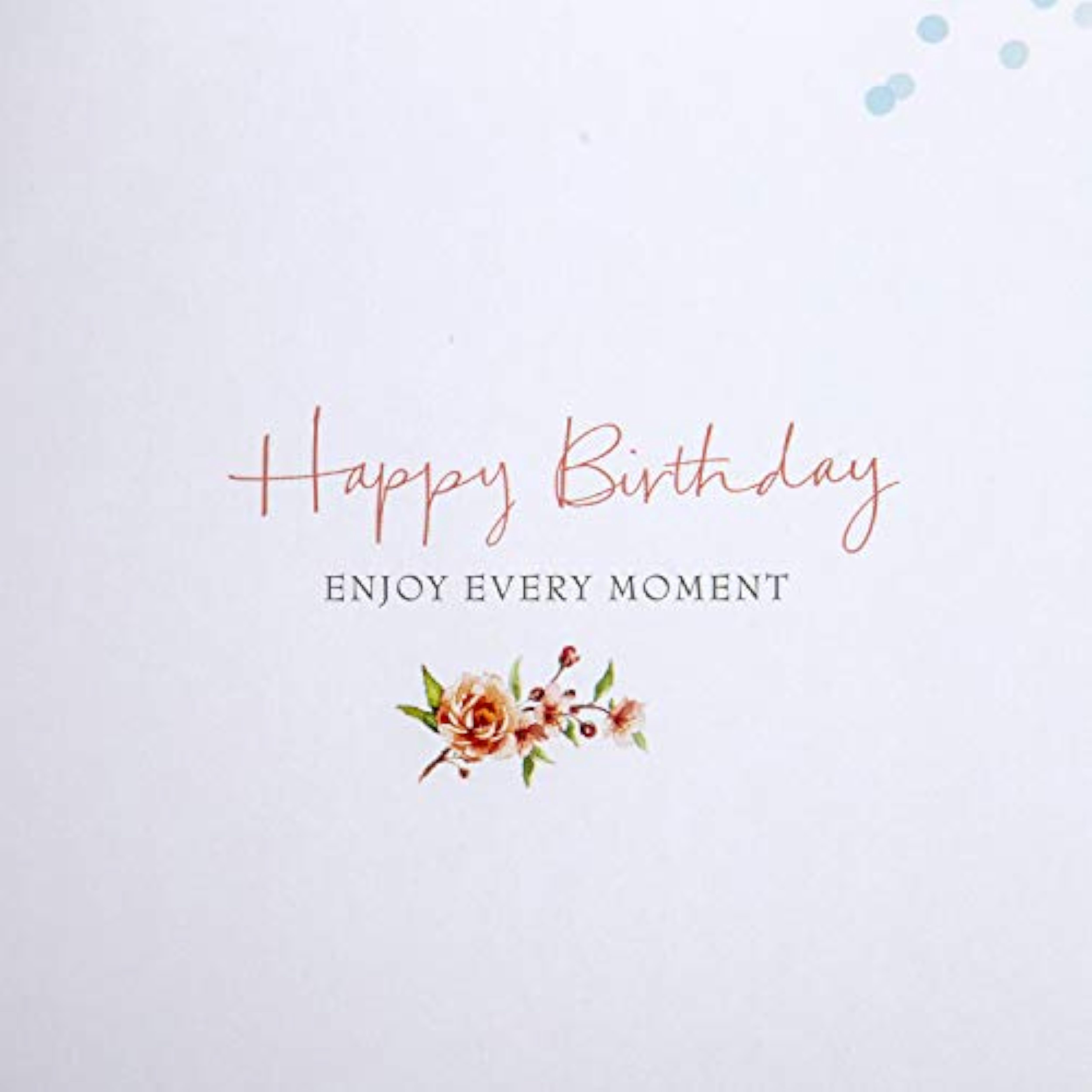 Hallmark Birthday Card Sister - Classic Lucy Cromwell Illustrated Design