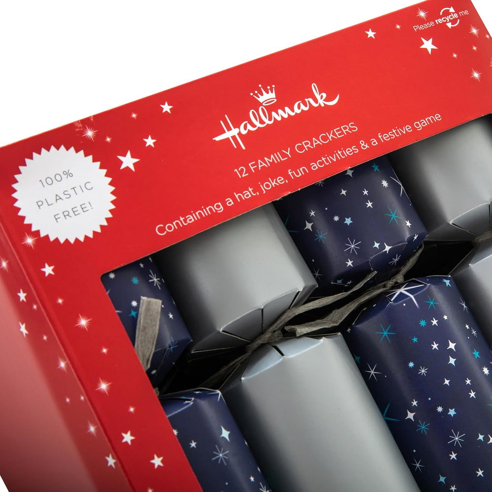 Christmas Silver Cracker