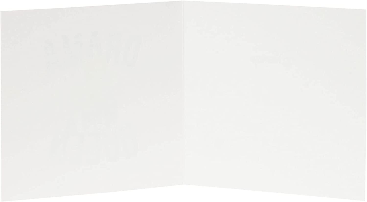 Disney The Evil Queen Blank Birthday Card