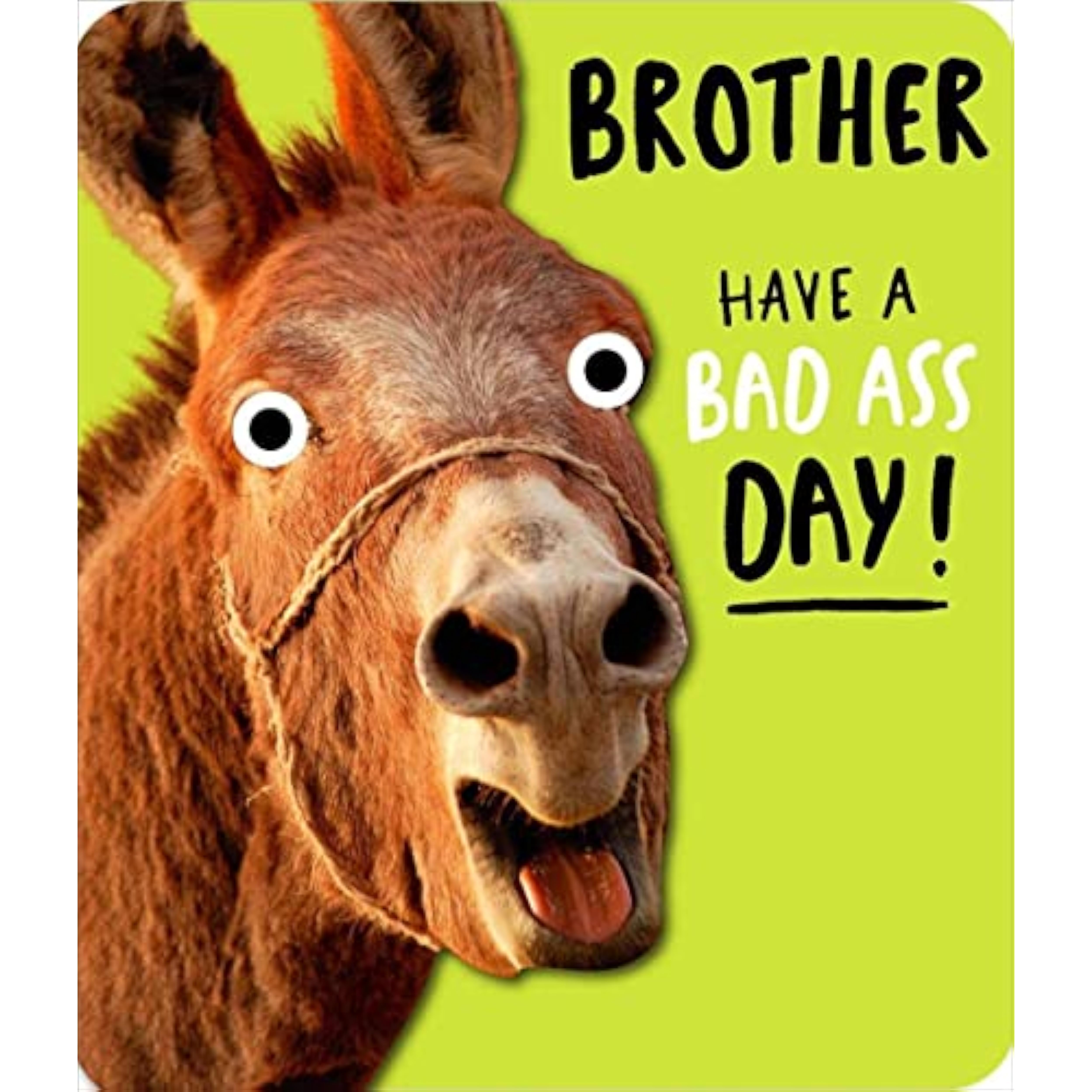Brother Have a Bad Ass Day!
