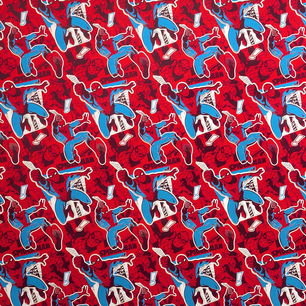 RWP SPIDERMAN NON CEL 2M