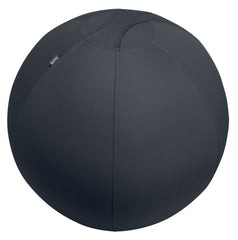 Leitz Active Sit Ball 75cm Anti-Roll-Away Dark Grey - 65430089 DD