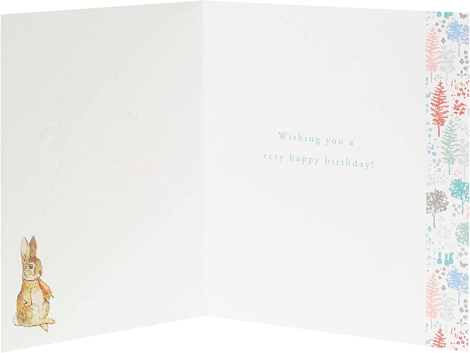 Peter Rabbit Special Birthday Wishes