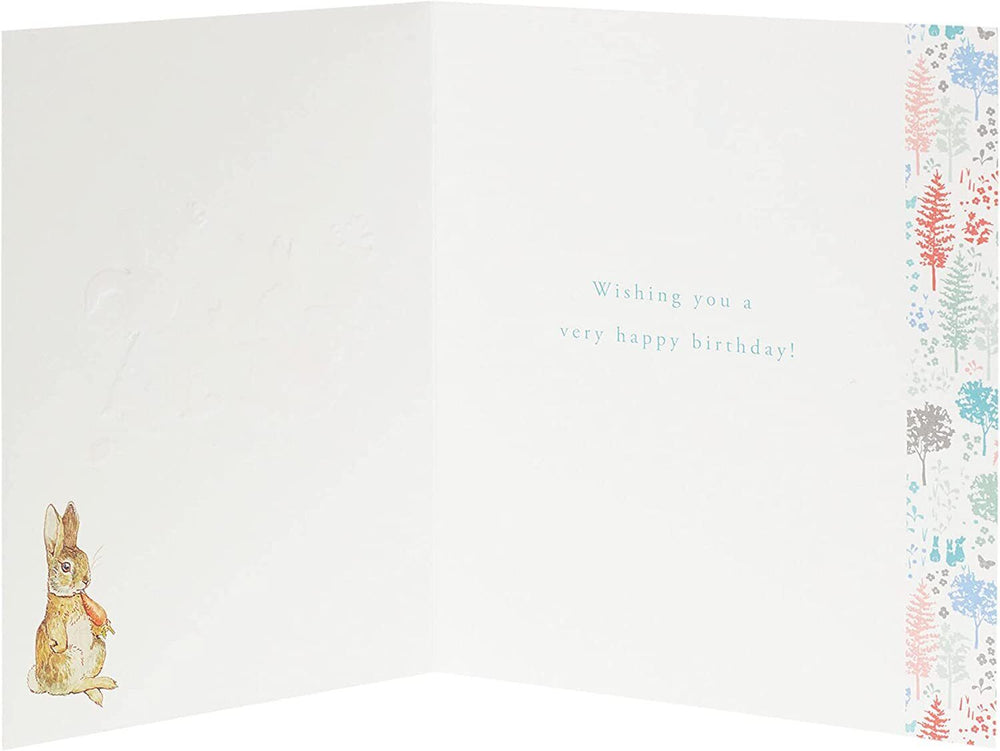 Peter Rabbit Special Birthday Wishes