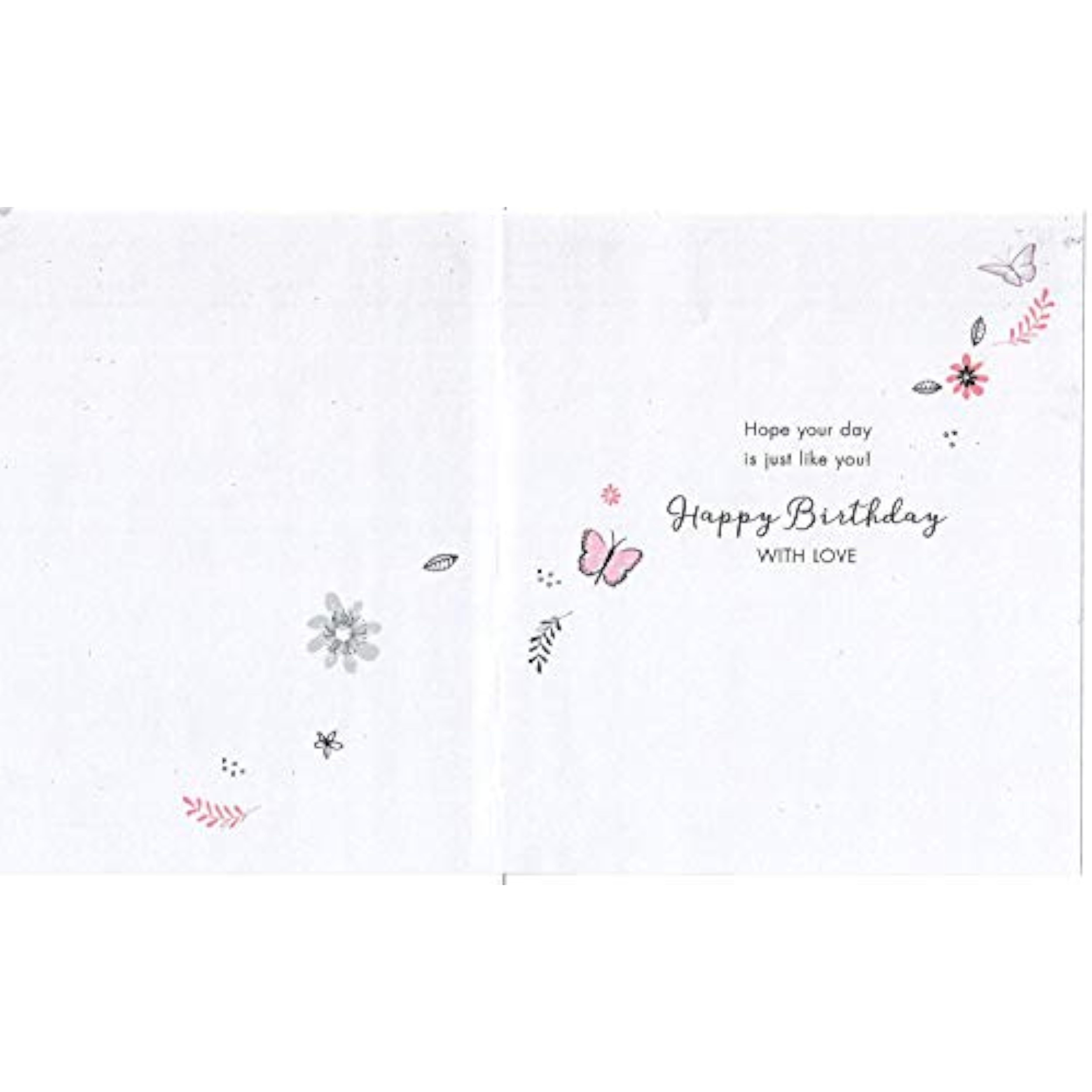 Niece Who's Fun, Fantastic, Awesome, Special & Amazing Niece Birthday Card