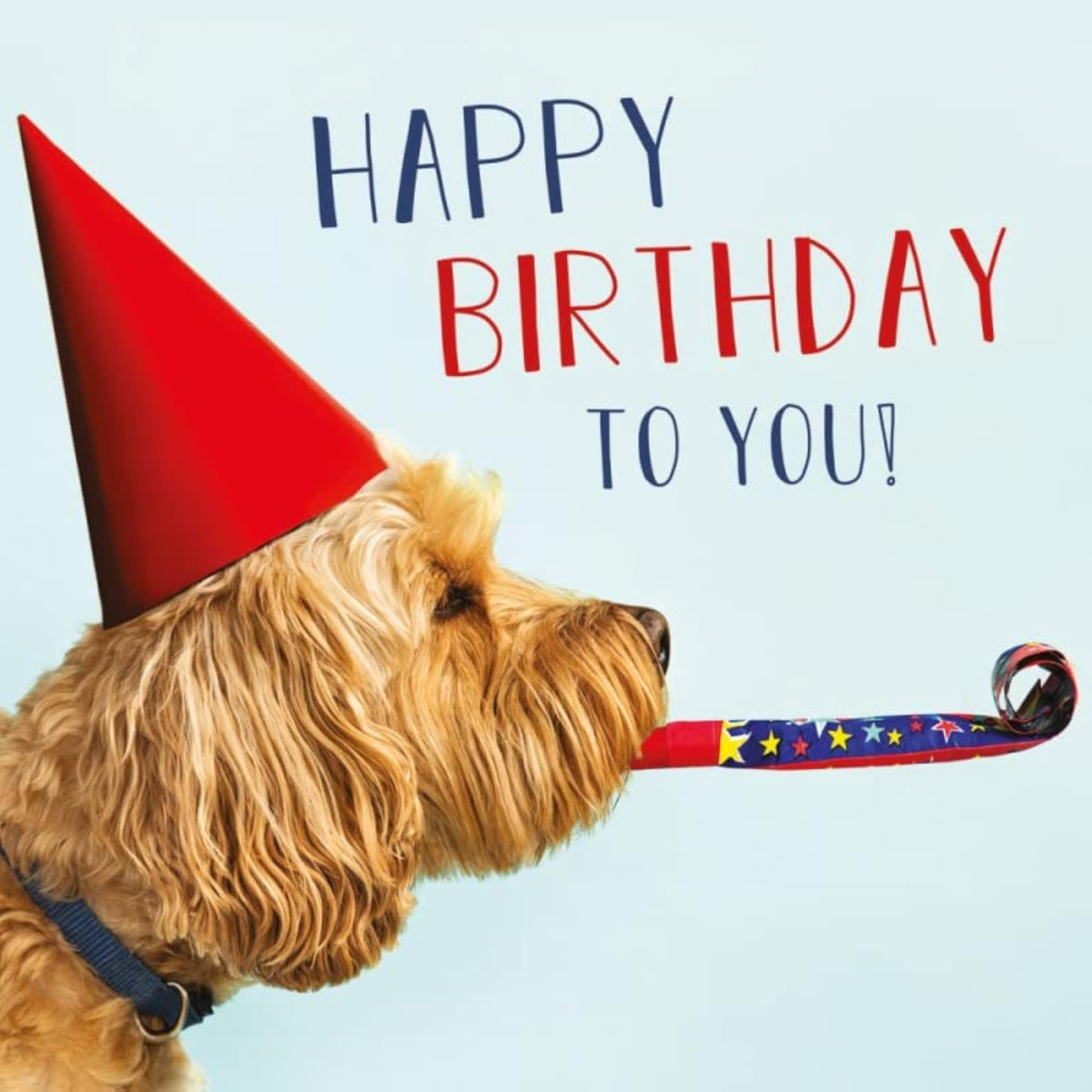 Funny dog Cockapoo birthday greeting card with a party hat from Abacus Cards featuring a cute cartoon dog.