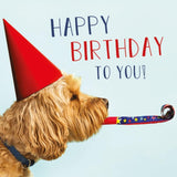 Funny dog Cockapoo birthday greeting card with a party hat from Abacus Cards featuring a cute cartoon dog.