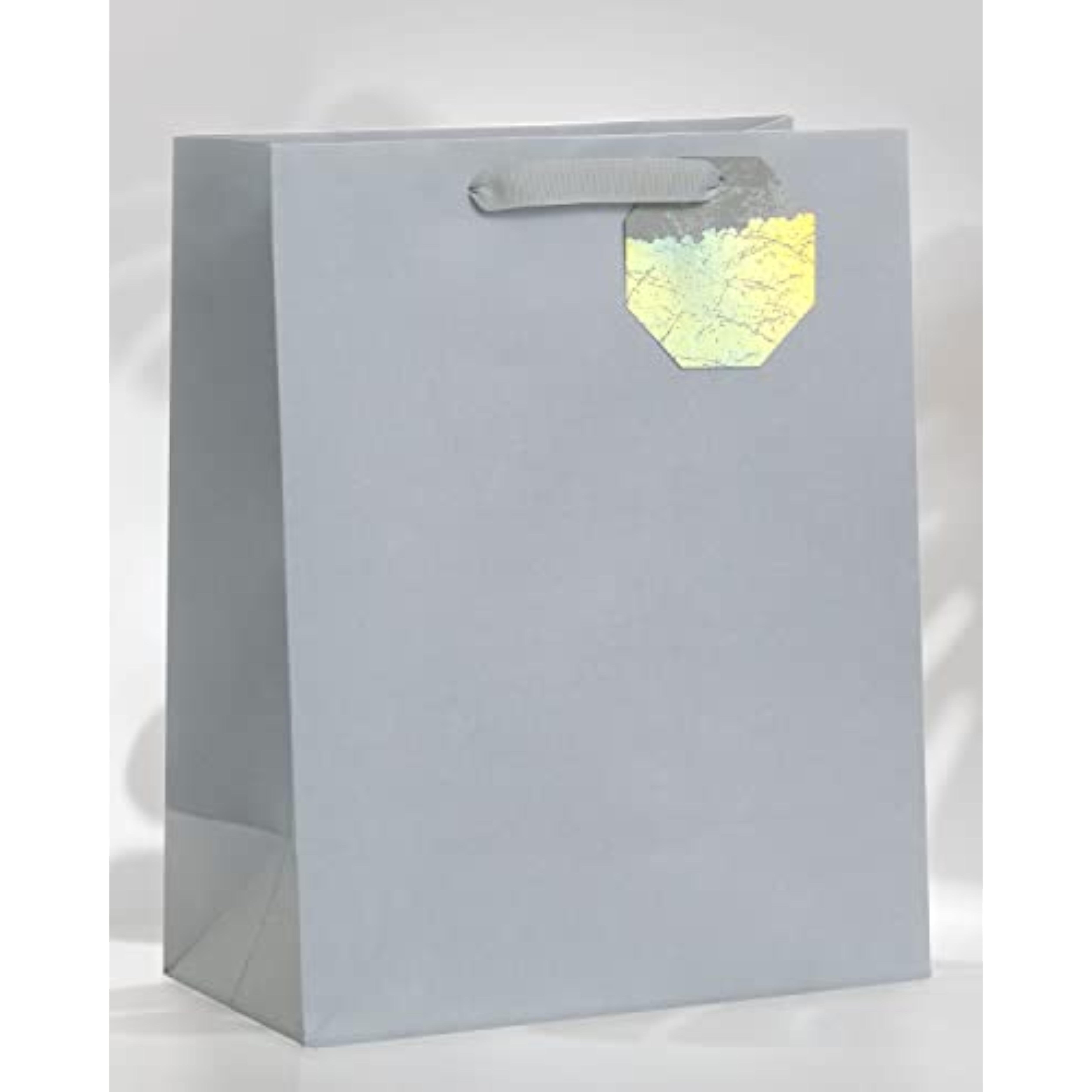 Large Gift Bag for Him/Her/Friend Silver Design