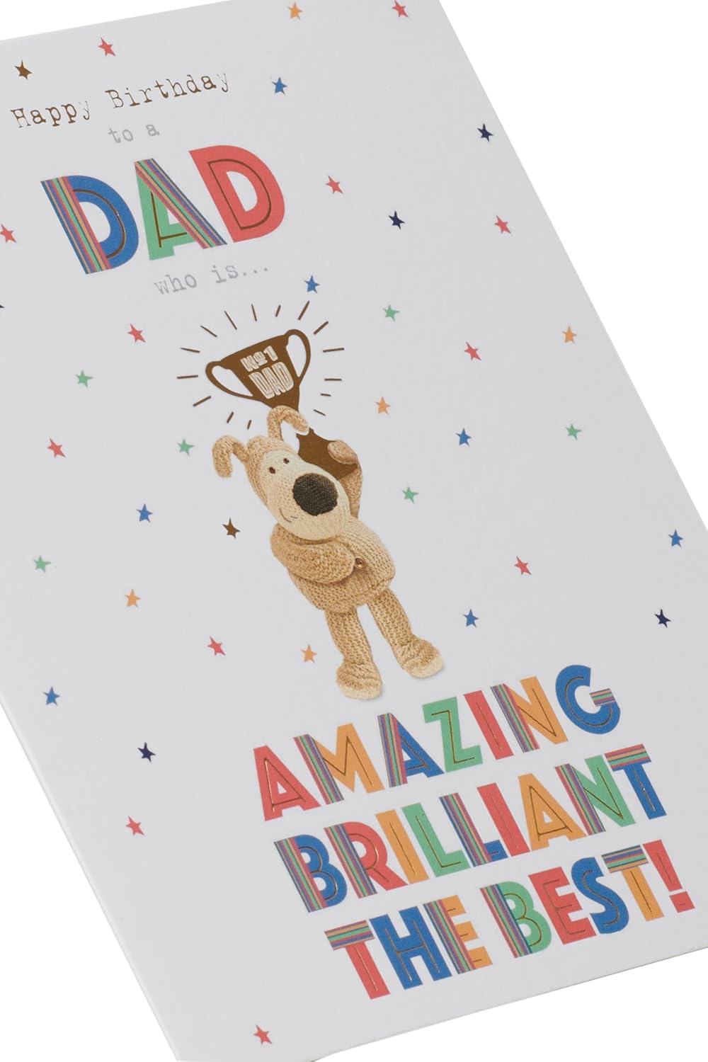 Integrated-Bday Dad (55)