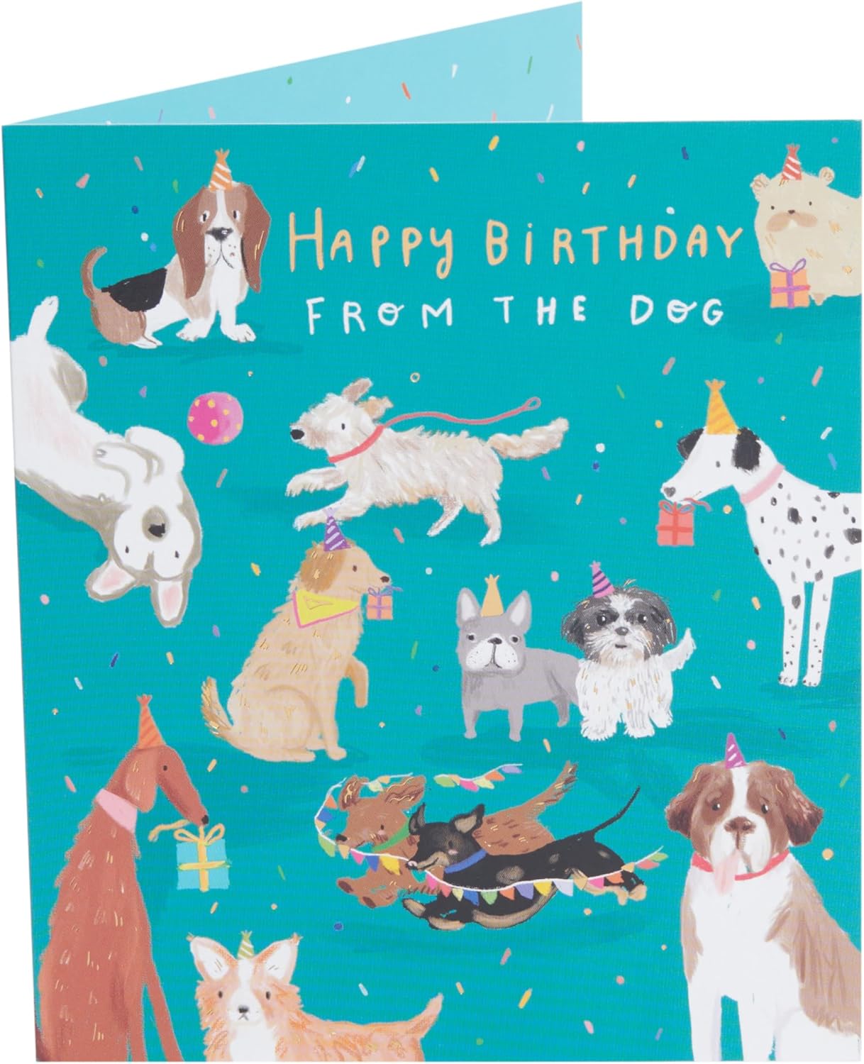 UK Greetings Birthday Card from The Dog, for Him/Her/Friend, Cute Design