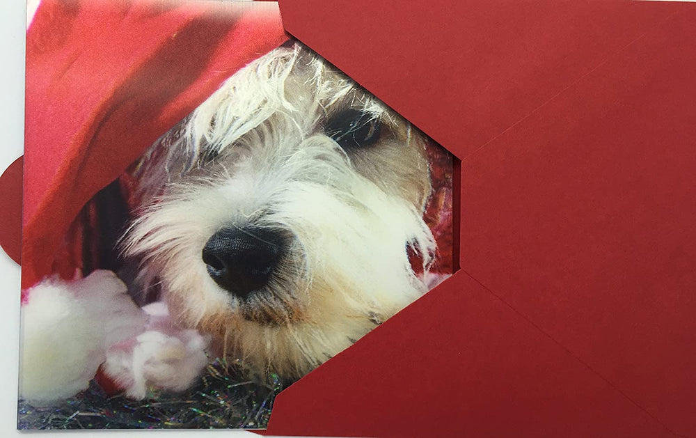Carte Blanche 3D dog in hat Christmas greeting card featuring a festive holiday design with a cute dog wearing a hat.