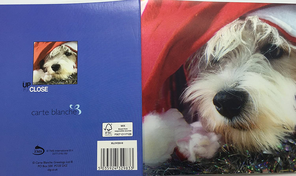 Carte Blanche 3D dog in hat Christmas greeting card featuring festive holiday design and adorable dog illustration.