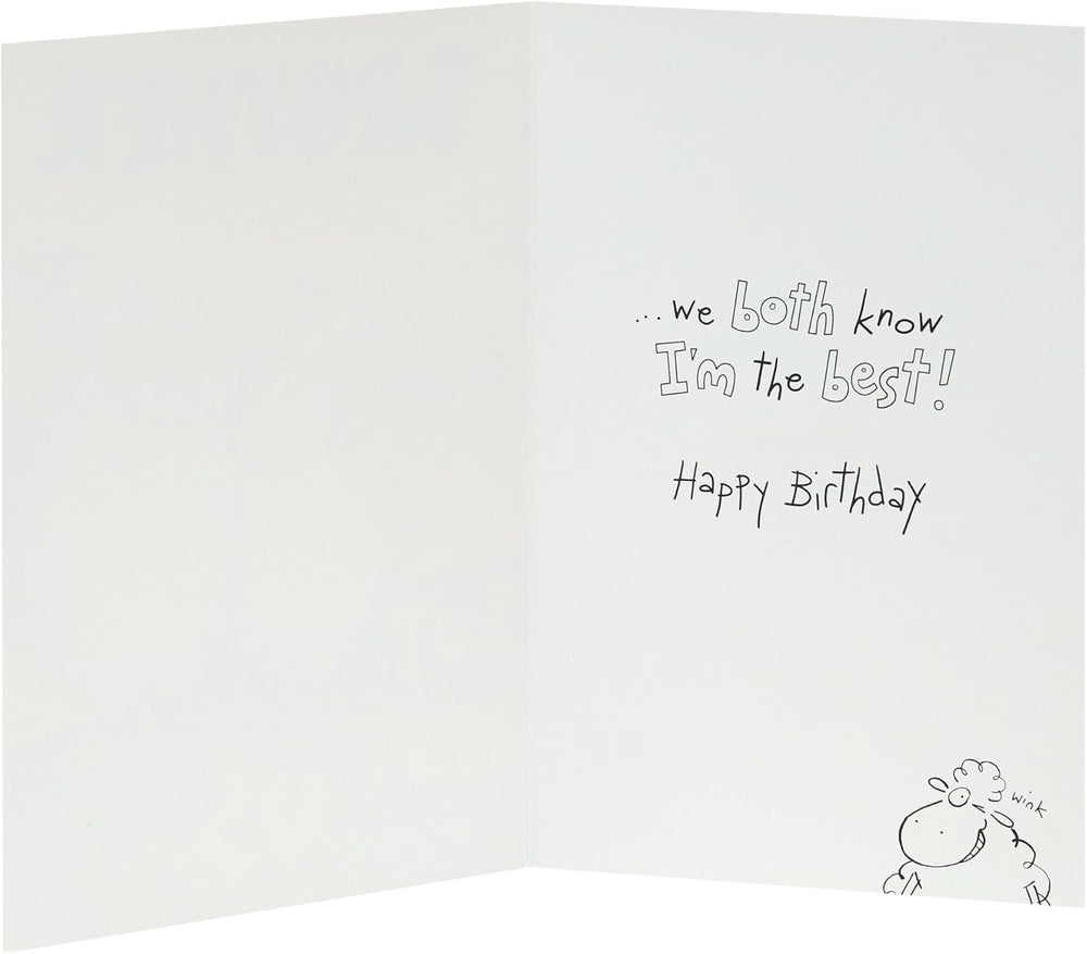 UK Greetings | Birthday Card for Brother | Happy Birthday Gifts | Him, Boys, Men | Funny Sheep Design | With Envelope | 143 x 216 mm